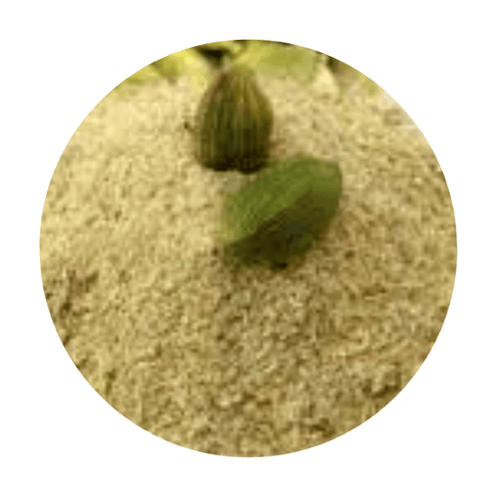 Cardamom powder