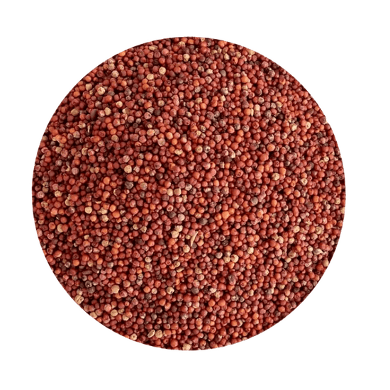 Finger Millet (Ragi)