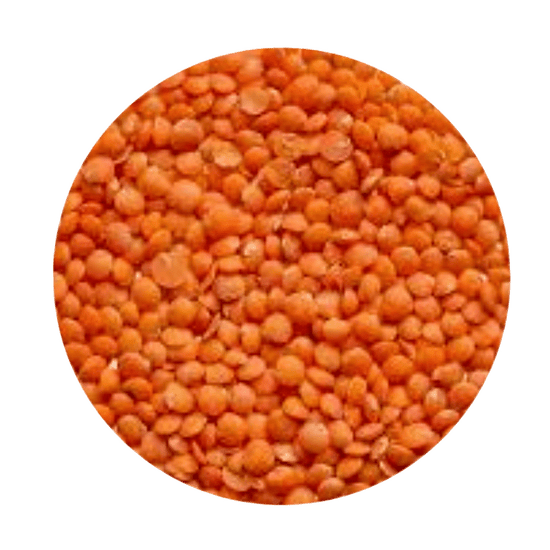 Masoor dal